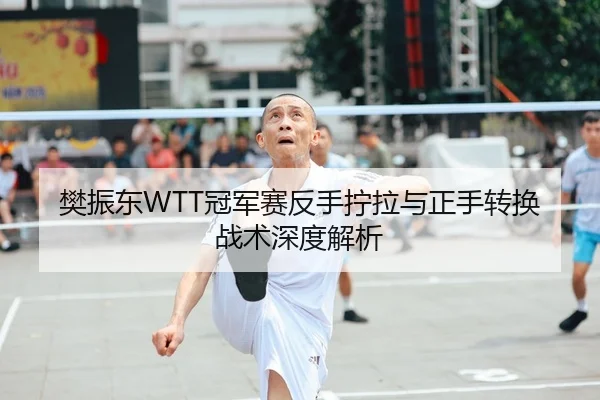 樊振东WTT冠军赛反手拧拉与正手转换战术深度解析
