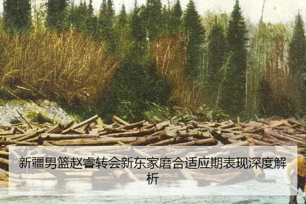 新疆男篮赵睿转会新东家磨合适应期表现深度解析