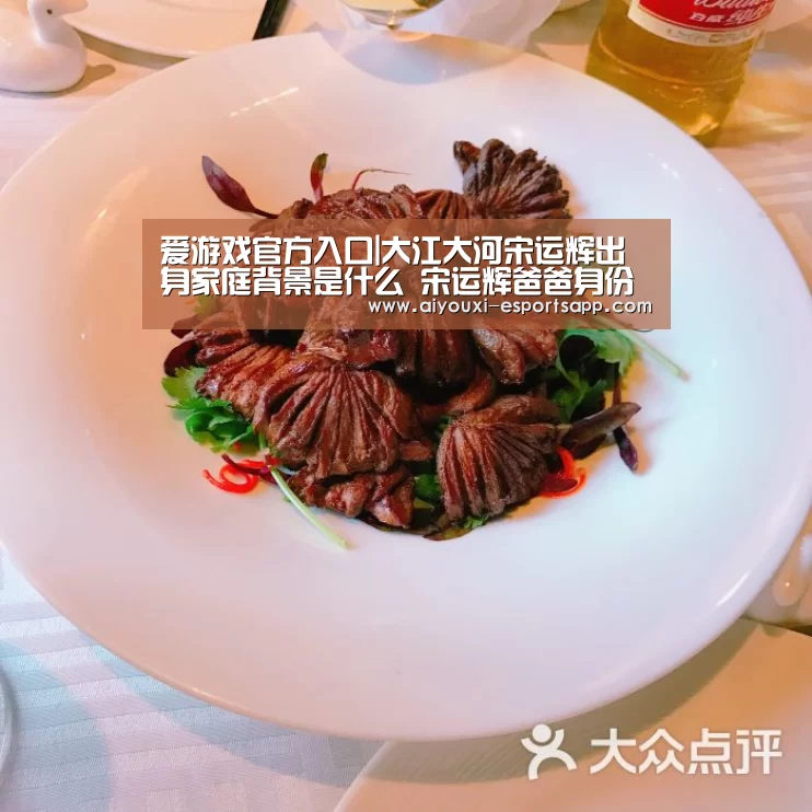 爱游戏登录入口