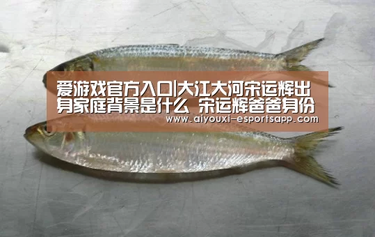 爱游戏官网