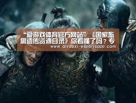 爱游戏官方入口