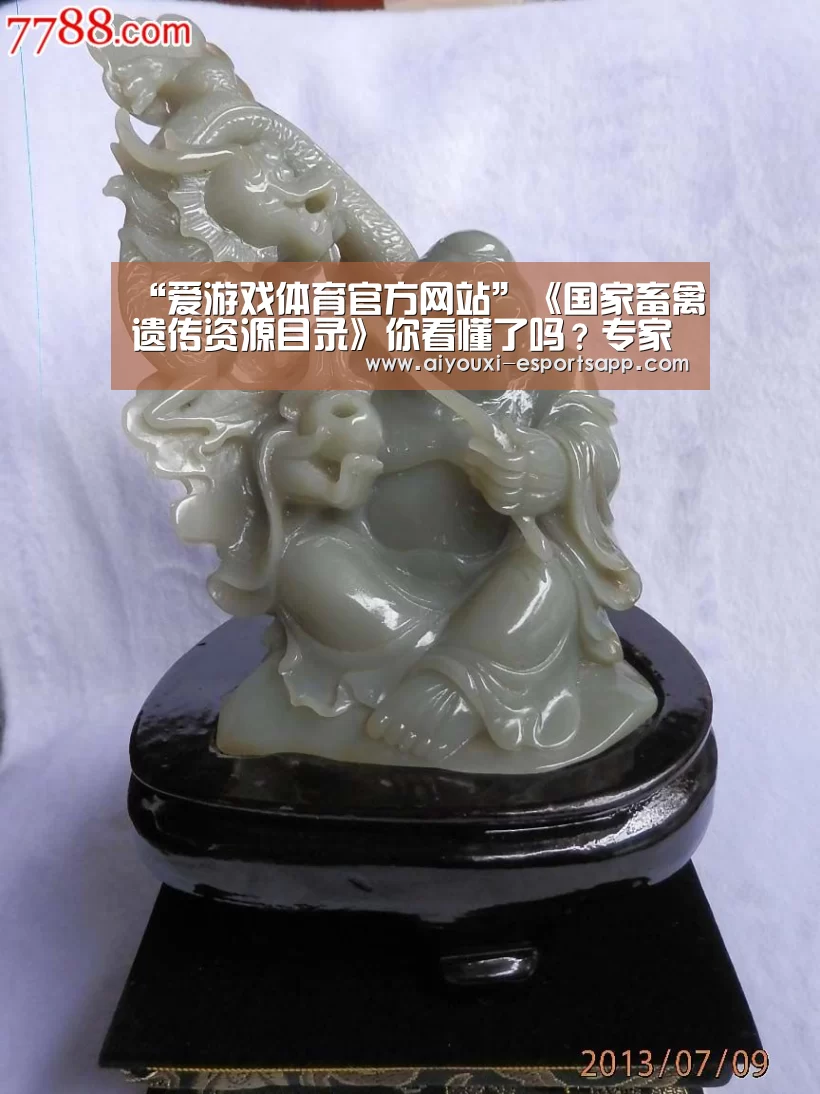 爱游戏官方入口