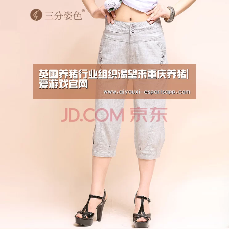 爱游戏登录入口