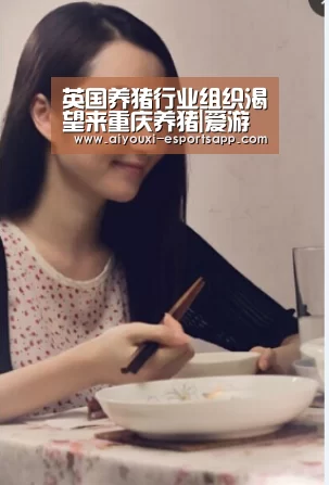 爱游戏官方入口