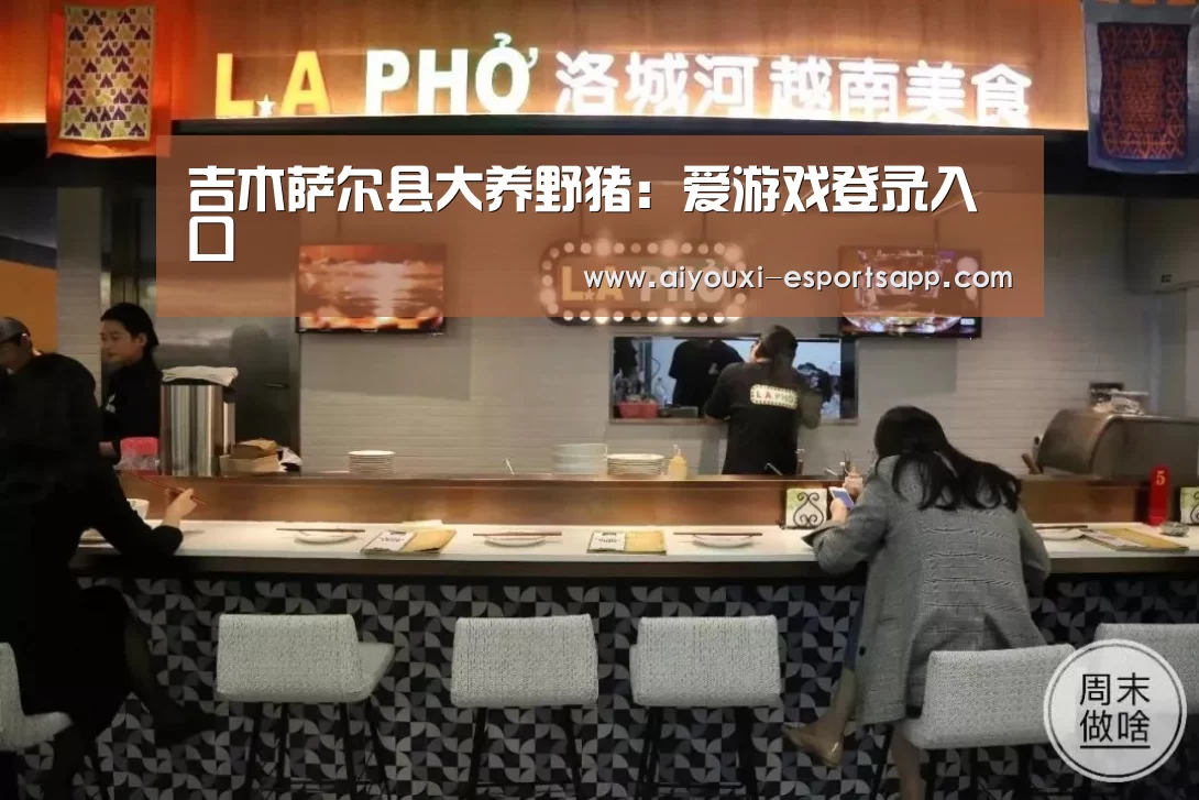 爱游戏登录入口
