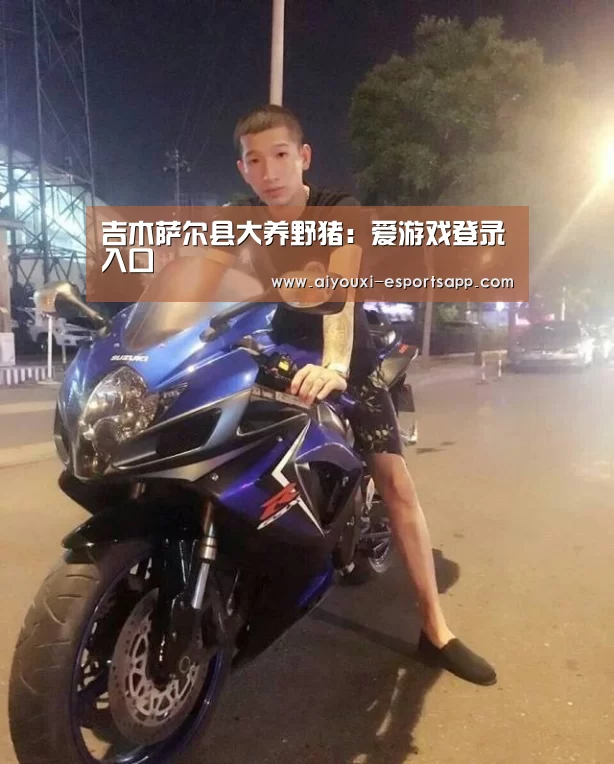 爱游戏官方入口