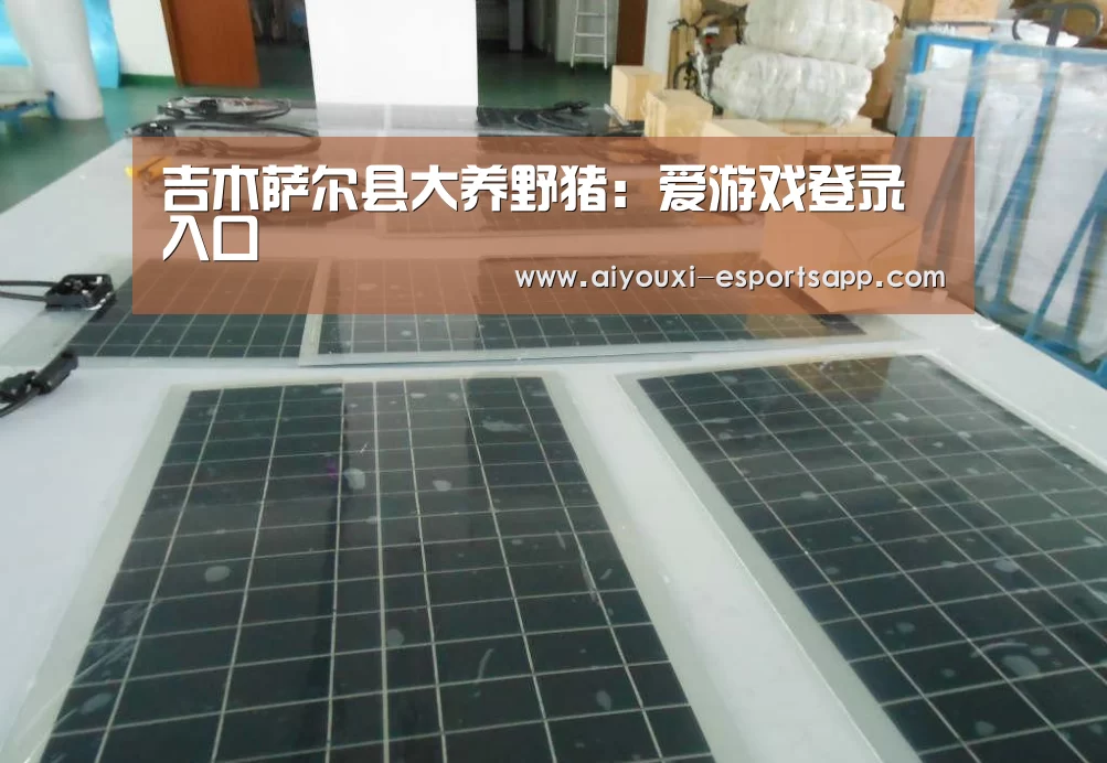 爱游戏官网