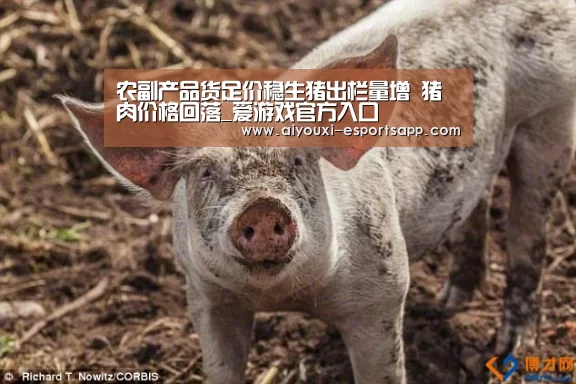 农副产品货足价稳生猪出栏量增 猪肉价格回落_爱游戏官方入口(图2) 爱游戏官方入口
