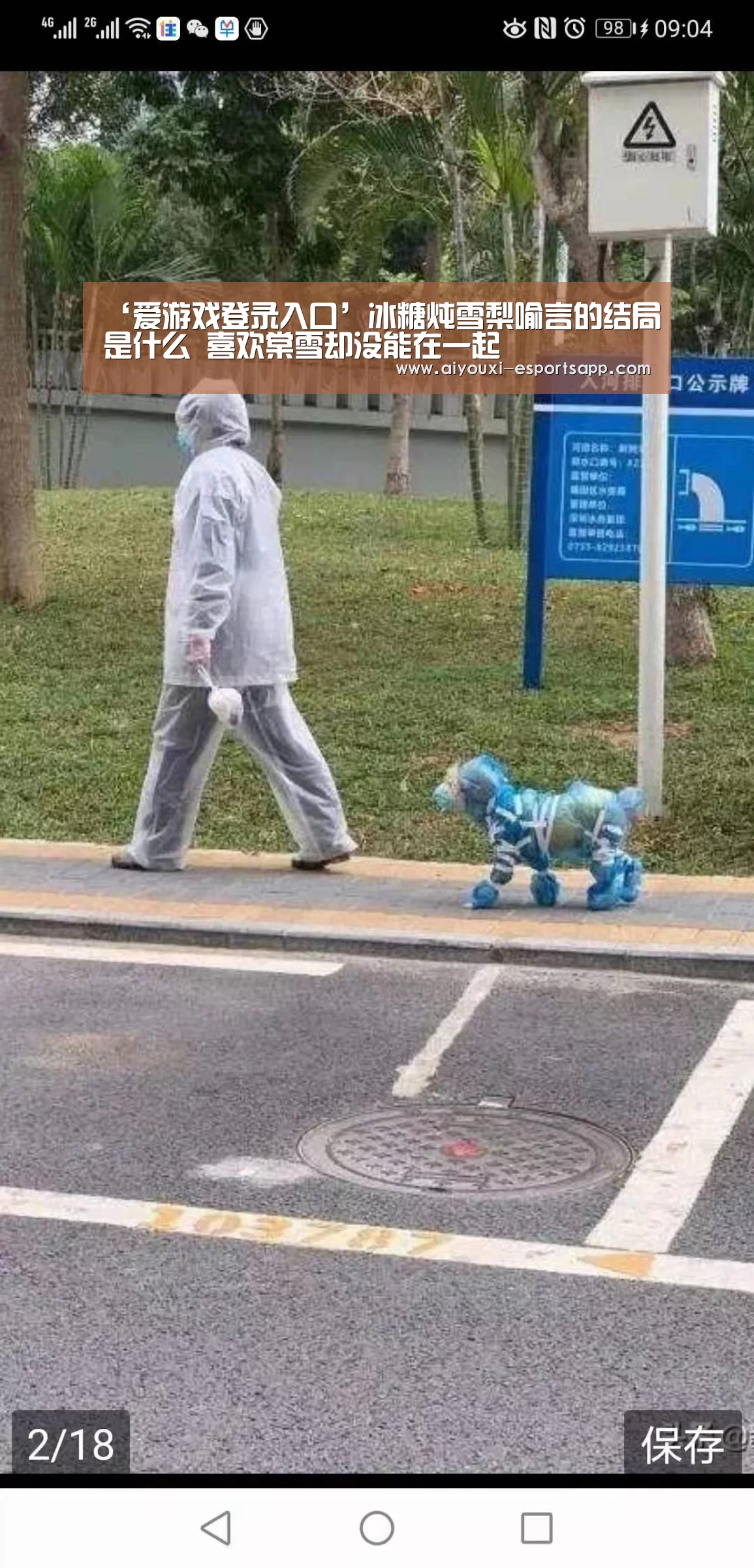 爱游戏官方入口