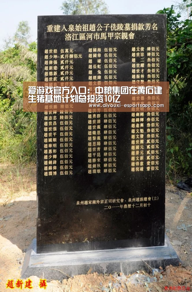 爱游戏官方入口