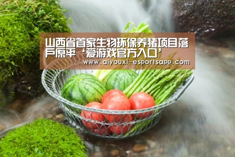 爱游戏官方入口