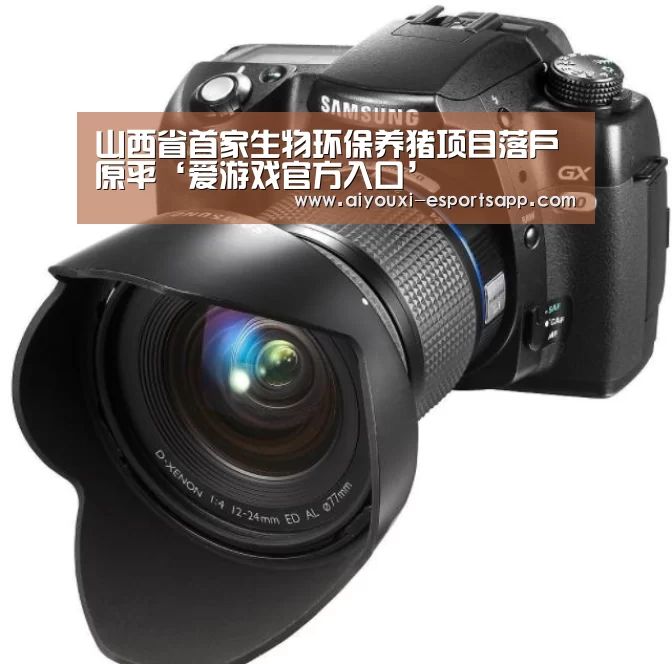 爱游戏登录入口