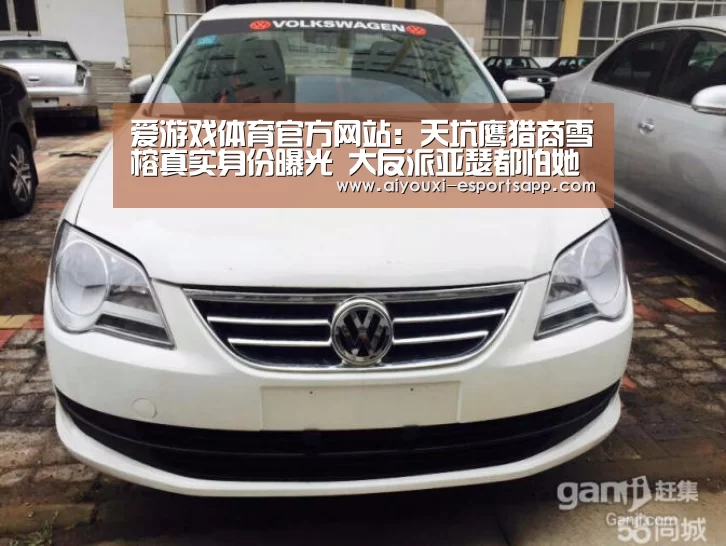 爱游戏体育官方网站