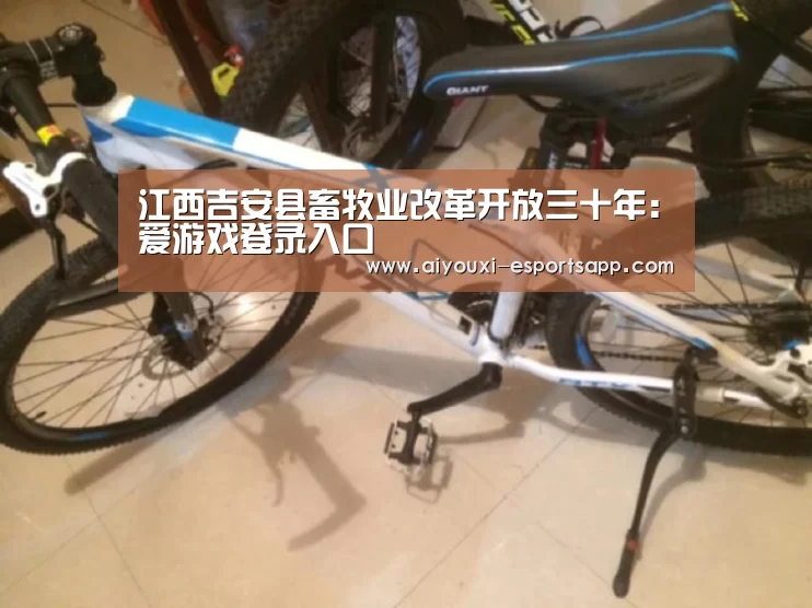 爱游戏官网