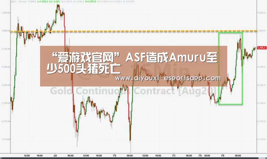 爱游戏官方入口