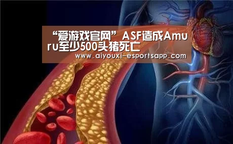 爱游戏登录入口