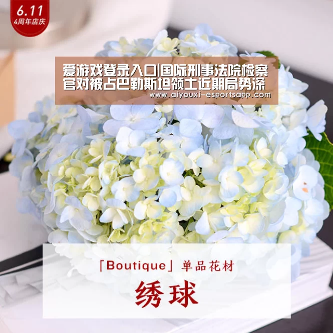 爱游戏登录入口