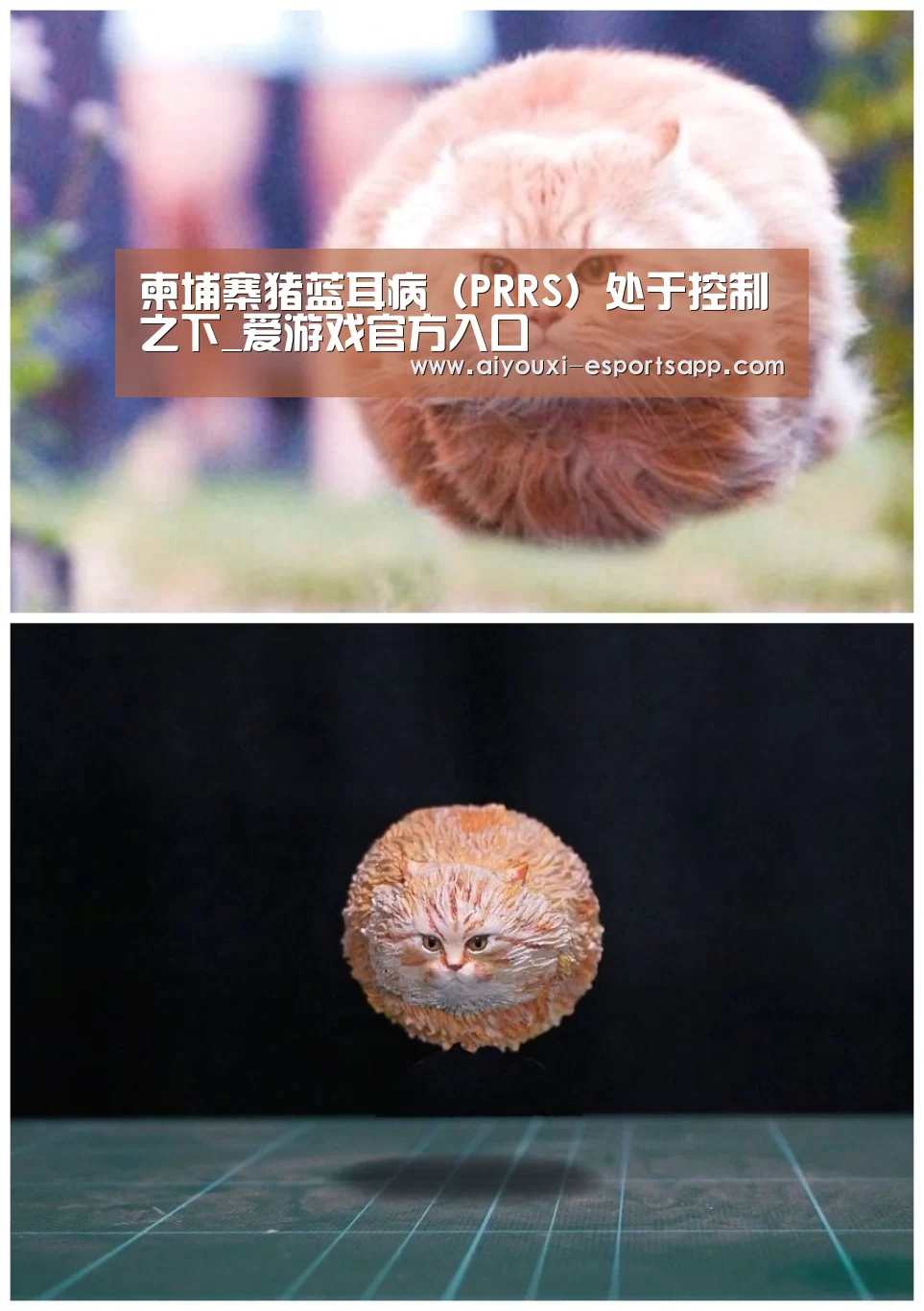 爱游戏官方入口